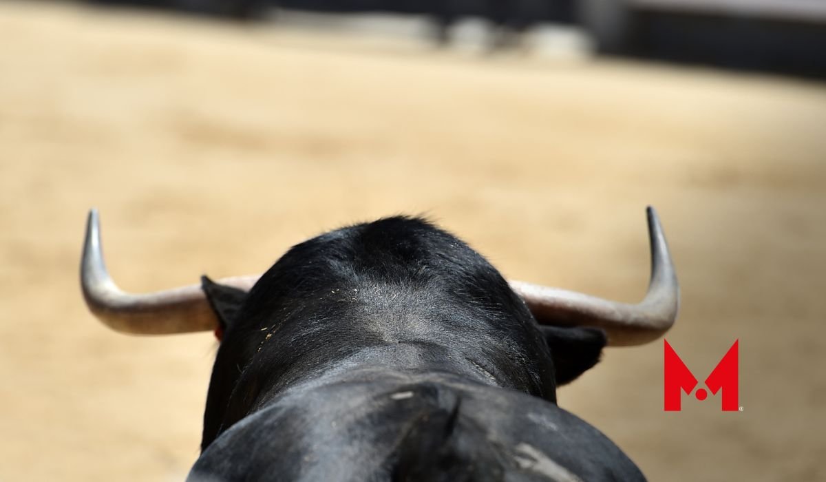 Se Suspenden Las Corridas De Toros En Plaza M Xico Metropolitano Edomex