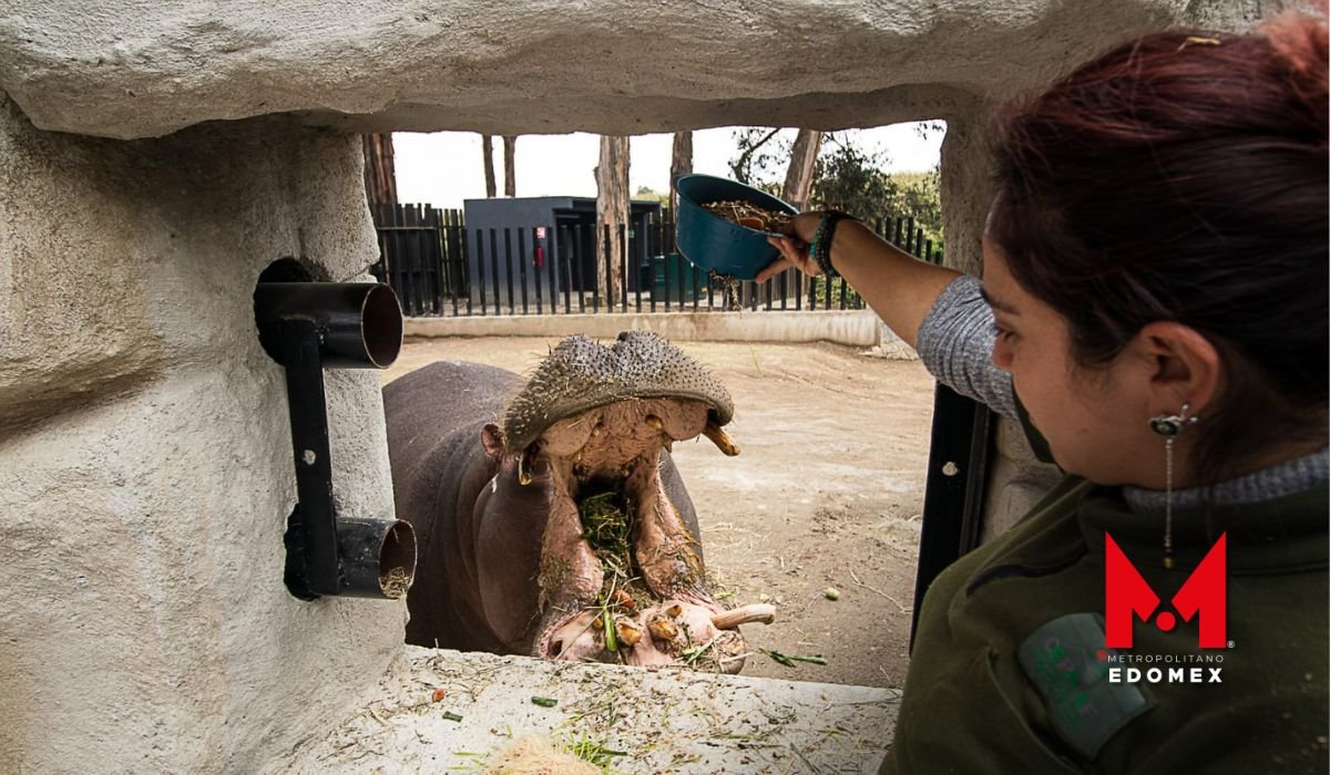 Cuanto cuentan las actividades del parque ecológico de Zacango