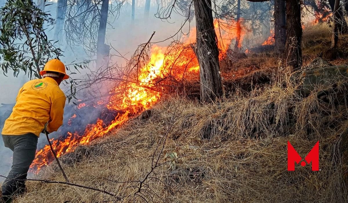 ¡Alerta! Brigada Forestal de Toluca lista para enfrentar incendios 365 días al año