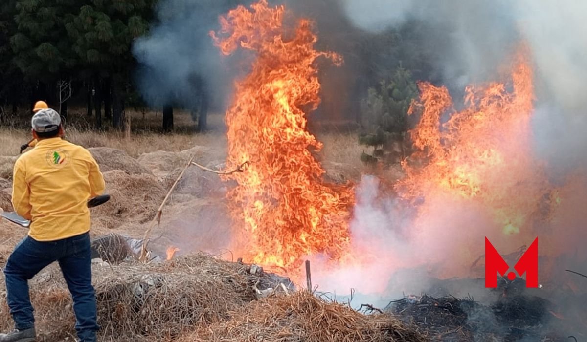 Brigada Forestal de Toluca: 40 incendios menos en lo que va del año