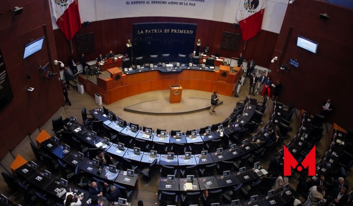 Senado Aprueba Reforma A La Ley De Amparo ¿en Qué Consiste