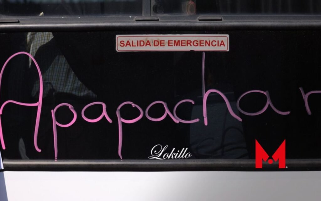 Jóvenes metepequenses se unen a la red de apoyo Apapachar-t