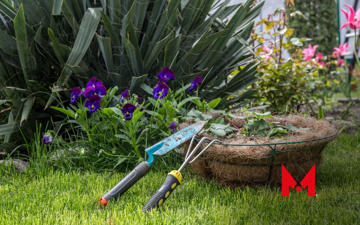 Toluca invita a crear jardines polinizadores para una ciudad más verde