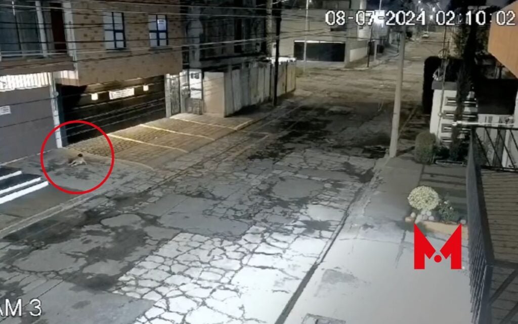 Bebé cae desde segundo piso en Puebla, sus padres no se percataron