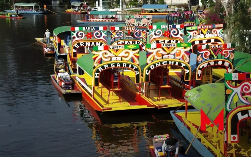 Captan una "Vaquita Marina" en los canales de Xochimilco