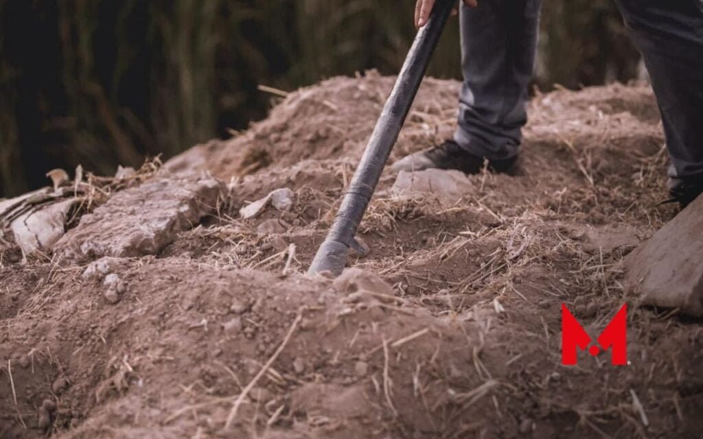 Fiscalía de Baja California revela causa de muerte de Paola Bañuelos
