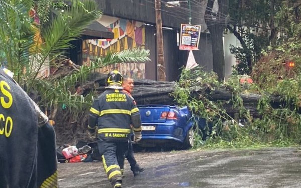 Árbol cae sobre auto y provoca la muerte de una mujer en CDMX