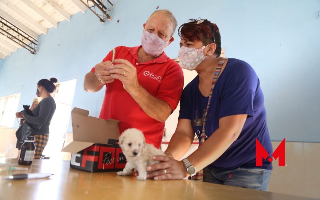 Zoonosis, ¿qué enfermedades nos pueden transmitir los animales?