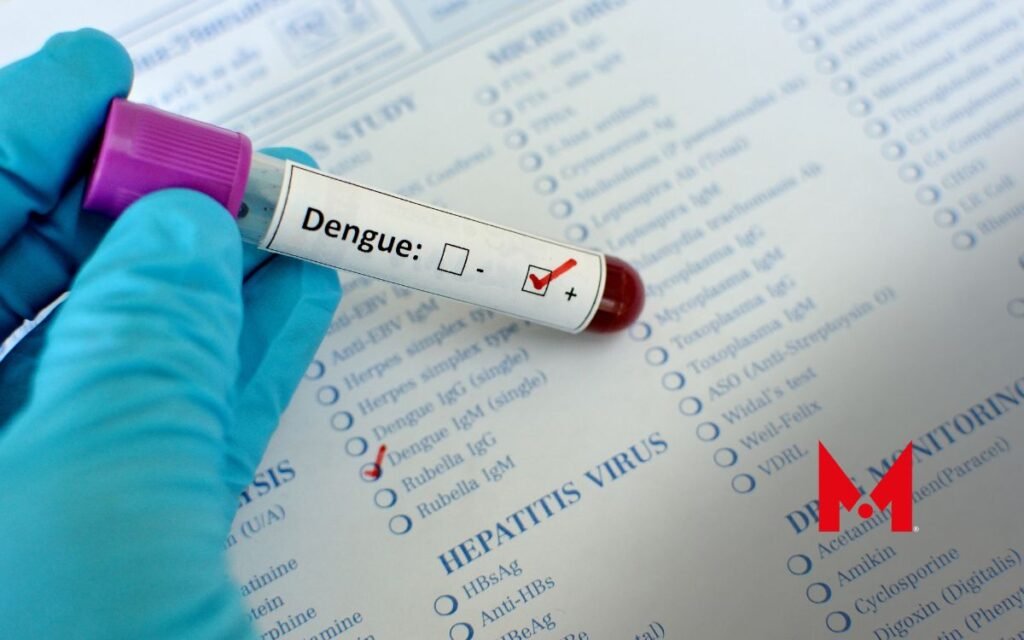 Todo lo que necesitas saber sobre el dengue y cómo prevenirlo