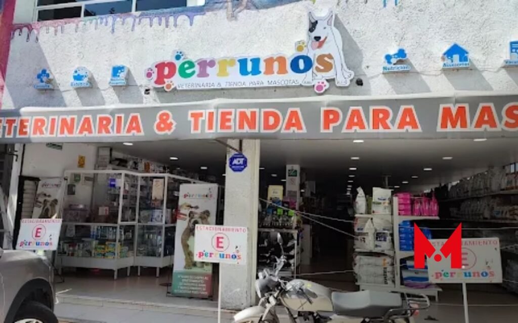 Funan a veterinaria "Perrunos" de Metepec por perder a perrita; fue hallada muerta